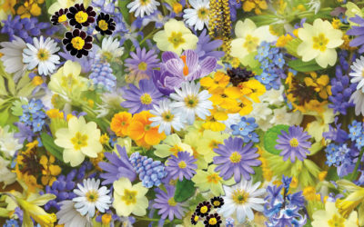 Fêtes des fleurs et des abeilles le 24 avril